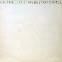 Camel - Chameleon