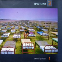 Pink Floyd - A Momentary Lapse Of Reason, D