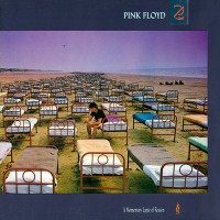 Pink Floyd - A Momentary Lapse Of Reason, NL (1st)
