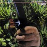 Hunt_Thrill_Of_The_Kill_D_1.JPG
