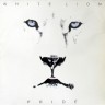 White_Lion_Pride_D_1.JPG