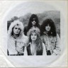 White_Lion_Pride_D_5.JPG