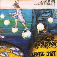 Ozric Tentacles - Jurassic Shift