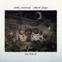 Summers, Andy & Fripp, Robert - Bewitched, D