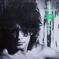 Waterboys, The - A Pagan Place, UK