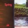 Spring_Spring_Neon_6.jpg