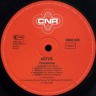Nova_Terranova_D_3.jpg