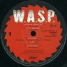 Wasp_Same_3.jpg