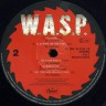 Wasp_Same_4.jpg