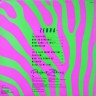 Perfect_Zebras_Zebra_2.jpg