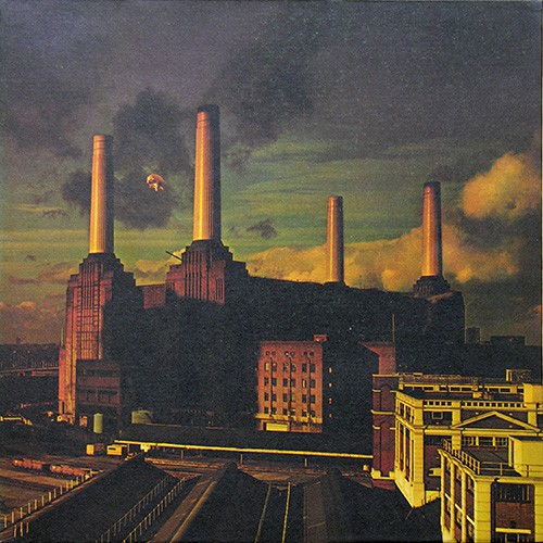 Pink Floyd - Animals, Belg