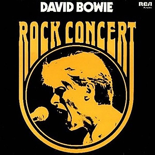 David Bowie - Rock Concert, NL