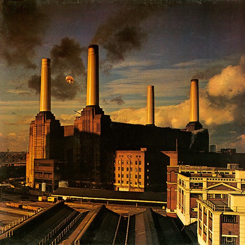 Pink Floyd - Animals, D (Or)