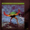 Vangelis - Soil Festivities_1.JPG