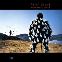 Pink Floyd - Delicate Sound Of Thunder, US (1st)