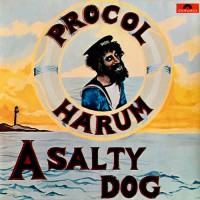 Procol Harum - A Salty Dog, D