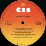Paradise_Birds_Back_To_America_4.jpg