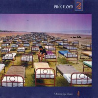 Pink Floyd - A Momentary Lapse Of Reason, FRA