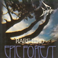 Rare Bird - Epic Forest, UK