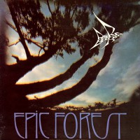 Rare Bird - Epic Forest, UK