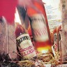 Nazareth_Sound_Elixir_NL_Or_2.JPG