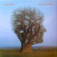 Pink Floyd - Brave New World