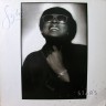 Sylvester_Stars_1s.jpg