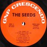 Seeds_A_Web_Of_Sound_3s.jpg