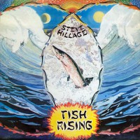 Hillage, Steve - Fish Rising, UK