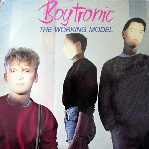 Boytronic - The Working Model, D