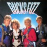 Bucks_Fizz_Are_You_Ready_D_1.JPG