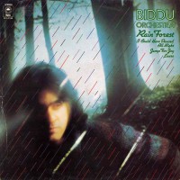 Biddu Orchestra - Rain Forest, EU