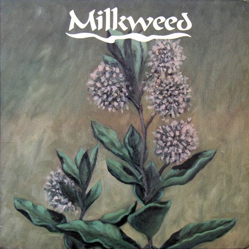 Milkweed - Same