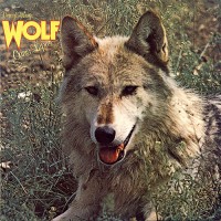 Darryl Way's Wolf - Canis Lupus, UK