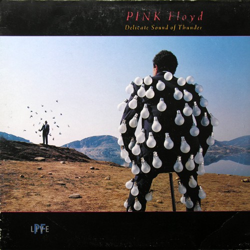 Pink Floyd - Delicate Sound Of Thunder, NL