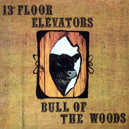 13th Floor Elevators - Bull Of The Woods, US (Or)