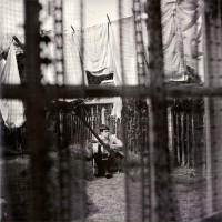 McCartney, Paul - Chaos And Creation In The Backyard