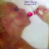 WILD CHERRY - Electrified Funk